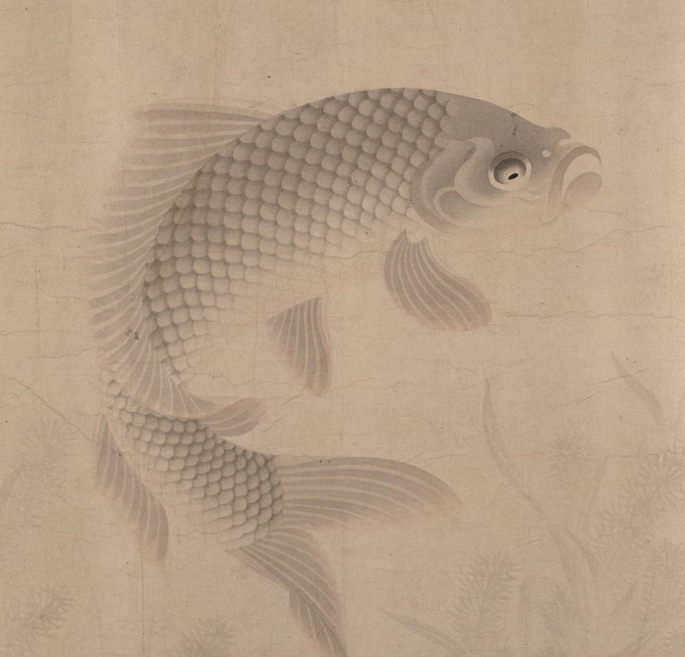 Detail of an ink and colour painting on pale paper: two carp turn slowly through still water, scales carefully drawn, fins and tails translucent, with faint fronds of waterweed drifting behind them.